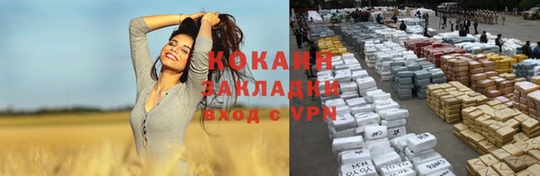 винт Фурманов