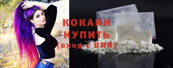 винт Фурманов