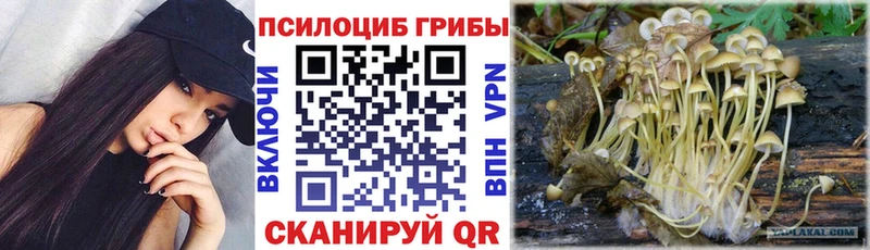 Галлюциногенные грибы Cubensis  Комсомольск-на-Амуре 