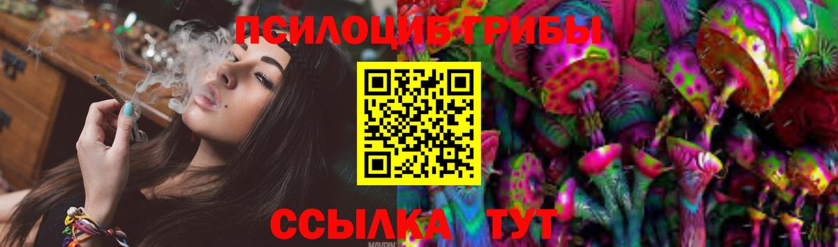 Псилоцибиновые грибы Psilocybine cubensis  Вход с VPN  Комсомольск-на-Амуре 
